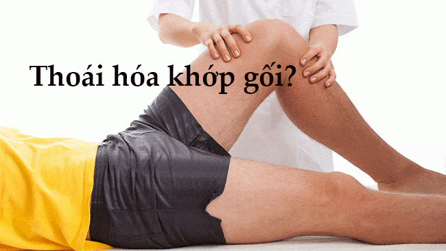 Thoái Hóa Khớp Gối - Bản Chất và Nguyên Nhân